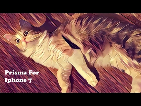 Prisma App For Iphone 7 / Iphone 7 Plus - Fliptroniks.com