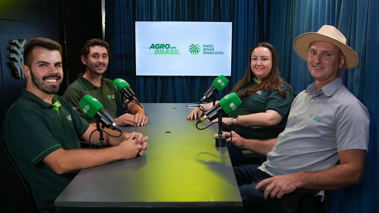 Ovinocultura em Santa Catarina: Transformando a Propriedade com Gestão e Assistência Técnica