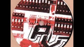 Kai Randy Michel -  Skydiver
