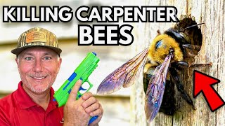 KILL Carpenter Bees Fast & Stop Damage NOW!