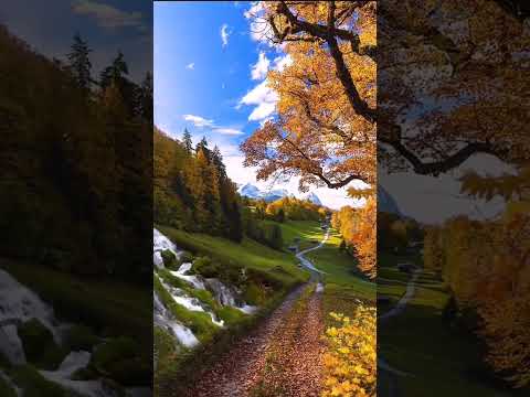 🍂🍁🎃 Colorful Autumn Moments in Switzerland 4K HDR | Fall Colors in Central Switzerland | #swiss
