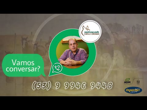 Cavalo Crioulo esta aqui, a opção de compra o venda de seu próximo Cavalo Crioulo.  