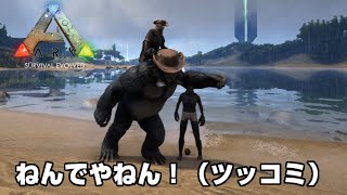 Steam Community Sasimi Videos