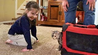 Cute Homeless Kitten Update: Her New Forever Family