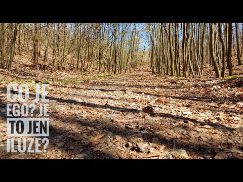 Co je ego? Je to jen iluze?