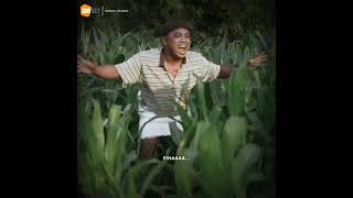 Download lagu story' wa mukidi gendut mp3