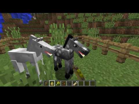 , title : 'Minecraft #2: Πως να κάνουμε κατοικίδιό μας ένα άλογο κι ένα γαϊδούρι.'
