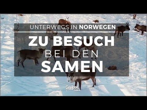 Visiting the Sami I Northern Norway I FOODBOOM Traveler