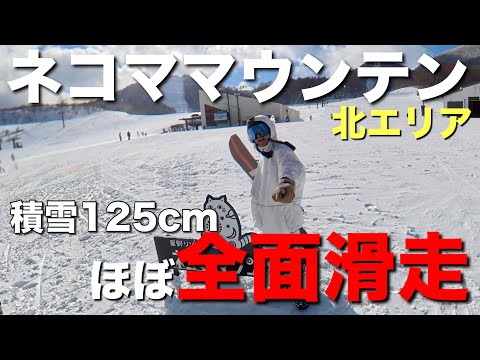 【ネコママウンテン北エリア】積雪125センチ！ほぼ全面滑走可能！