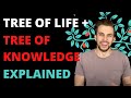 The Tree of Life Vs The Tree of Knowledge of Good & Evil Explained