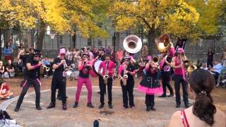 The Pink Puffers at Honk! 2012 (1/2)
