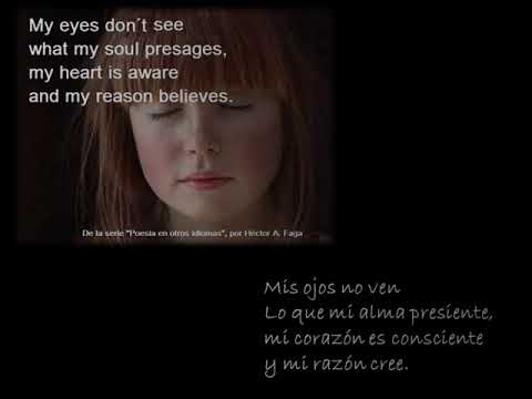 Poesía en otros idiomas