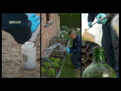 Wetteren, hoe groot is de vergiftiging nu? | Telefacts | VTM