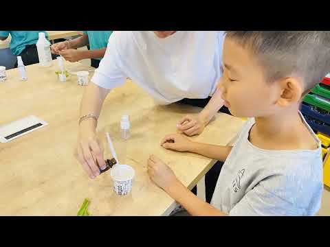 How Does a Hand Sanitizer Work? PYP Year 4 STEM