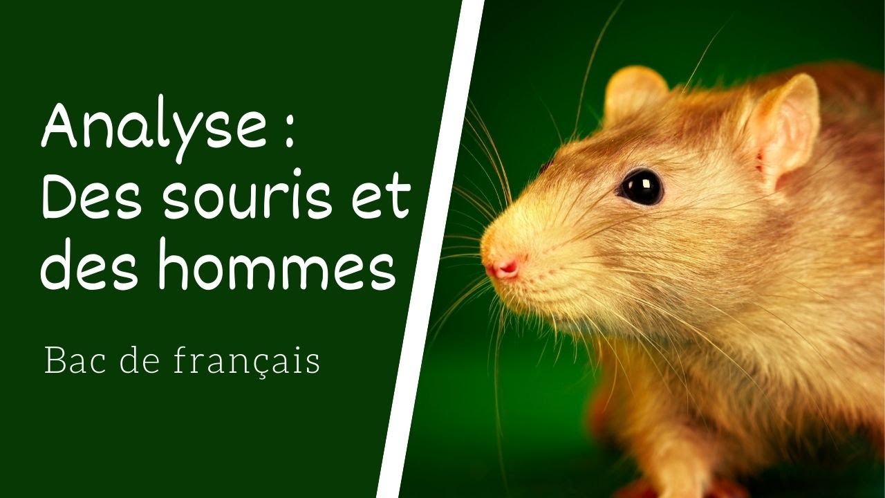 Des souris et des hommes de John Steinbeck Analyse