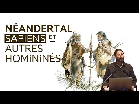Homo sapiens, Néandertal et compagnie