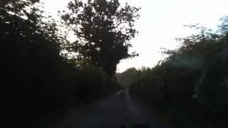 Drive around Burnham Beeches