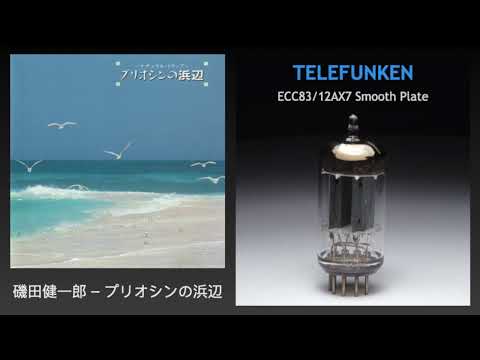 磯田健一郎(Ken-Ichiro Isoda) – プリオシンの浜辺 (Full Album)