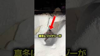真冬にジャグジーをつけたら起きたこと 🛁
