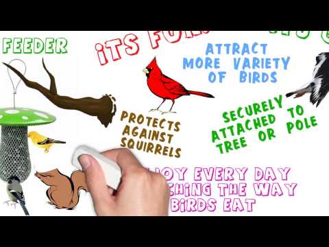 Green Mushroom Bird Feeder by ChiliPet