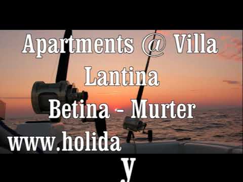 Feeding the bluefin tunas in the Adriatic