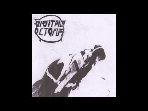 Digital Octopus - What You Want (Sheer Mag cover)
