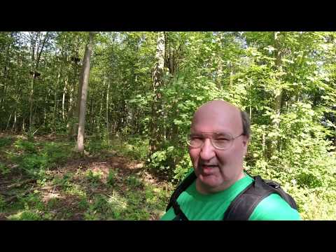 MongoTV_3365 - English Vlog_0187 - Small Walk i Forest Frederiksdal