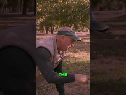 Phosphorus+Oxygen = fueling plant vitality #regenerativefarming #soilhealth