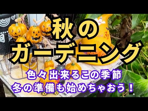 園芸 日本のクロスネ