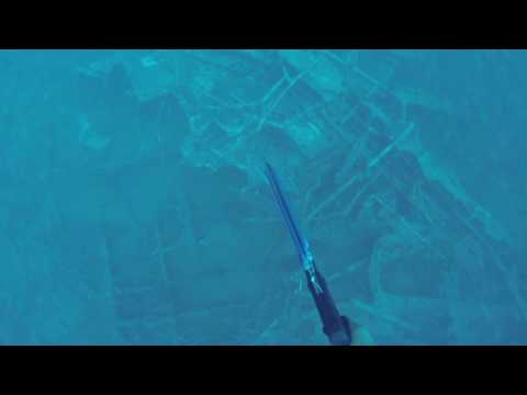 Double Tap Cubera Snapper