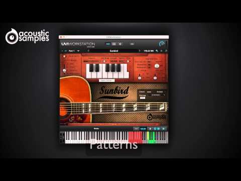 Sunbird Guitar library by Acousticsamples