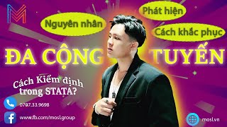 Ma trận hệ số tương quan Pearson | Cách phân tích chuẩn trong Stata