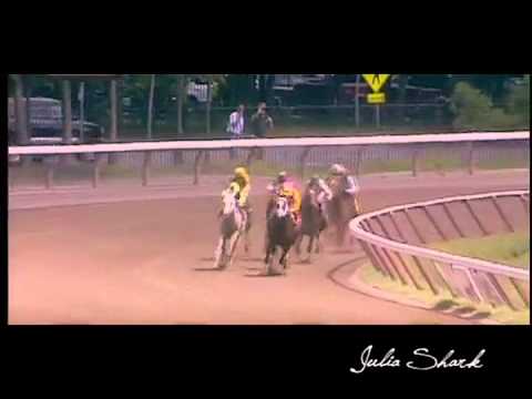 DREAMING OF JULIA |  P r e t t y G i r l