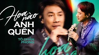 Hoa Nào Anh Quên - Tô Chấn Phong | Official Music Video | Mây Saigon