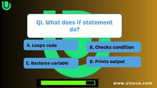 Scripting and Programming (D278) practice questions