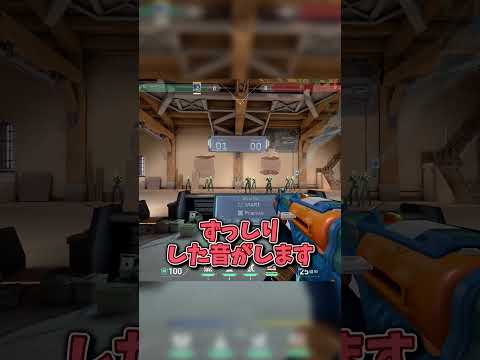 【VALORANT】絶対買え！スプラッシュXの感想！#shorts