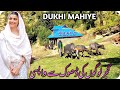 dhook sa wapsi ki khubsurat video❤ pahari song ❤gojri song new gojri mahiye new pahari mahiya part 2