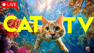 🐠 CAT TV + MUSIC - Separation Anxiety + Boredom Cure for Home Alone Cats 🌈