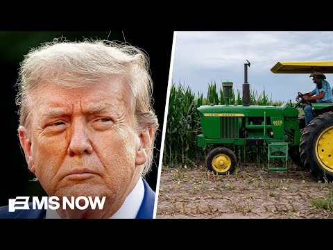 Does it feel like Trump is putting American farmers first? 'Not really,’ dairy farmer says
