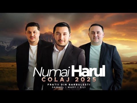 Fratii Din Barbulesti - NUMAI HARUL ( Colaj 2025)