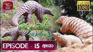 Sobadhara - Sri Lanka Wildlife Documentary  2019-0