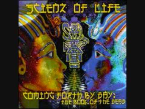 Scienz of Life- Brainstorm (Intro) + Divine Powers