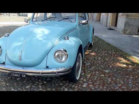 Maggiolone 1302 - 11d11 - "CELESTINO"  - gli esterni