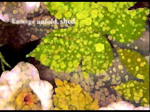 Marry Waterson & Oliver Knight - Windy Day (lyric video)