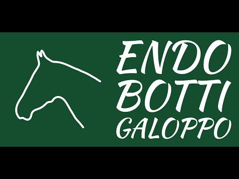 Galoppo su pista in trucioli - Razza Latina (San Rossore)