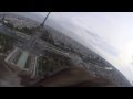 Eagle Flying over Paris 