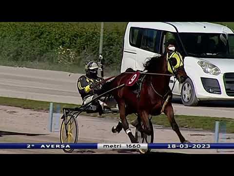Aversa trotto 18 Marzo 2023 - 2° Corsa