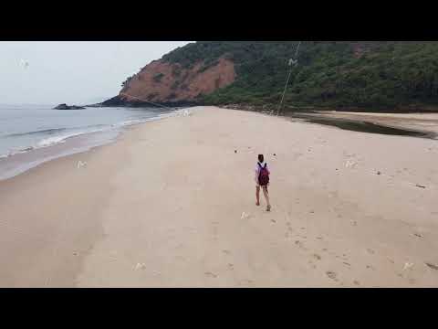 a woman walks along a wild beach, a flock of birds will take off in the distance, aerial photography
