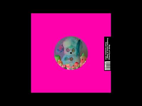 Croatian Amor & Varg²™ - 冰冷 (ft. Charity SsB & Exploited Body) [PI-253]