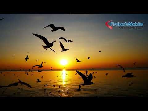 Freizeitmobile Von der Kammer aus Sande